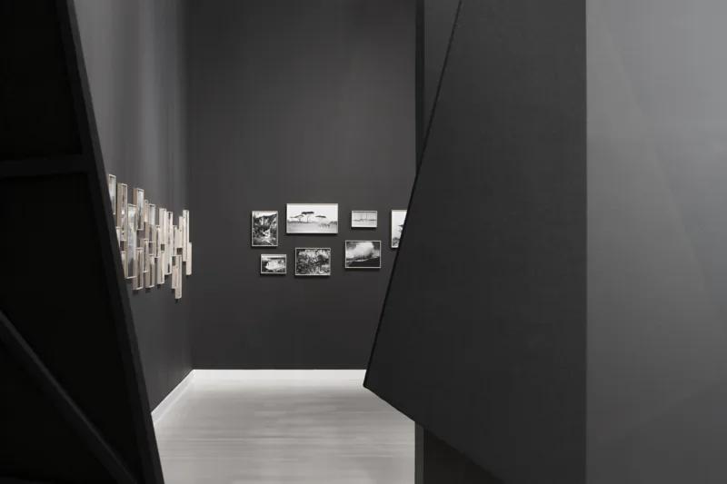 The Nation Loves It, installation view Ludwig Museum Budapest, 2015, photo: Tamás Bujnovszky