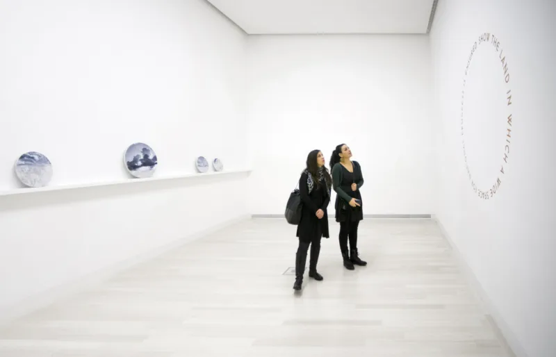 The Nation Loves It, installation view Ludwig Museum Budapest, 2015, photo: VD