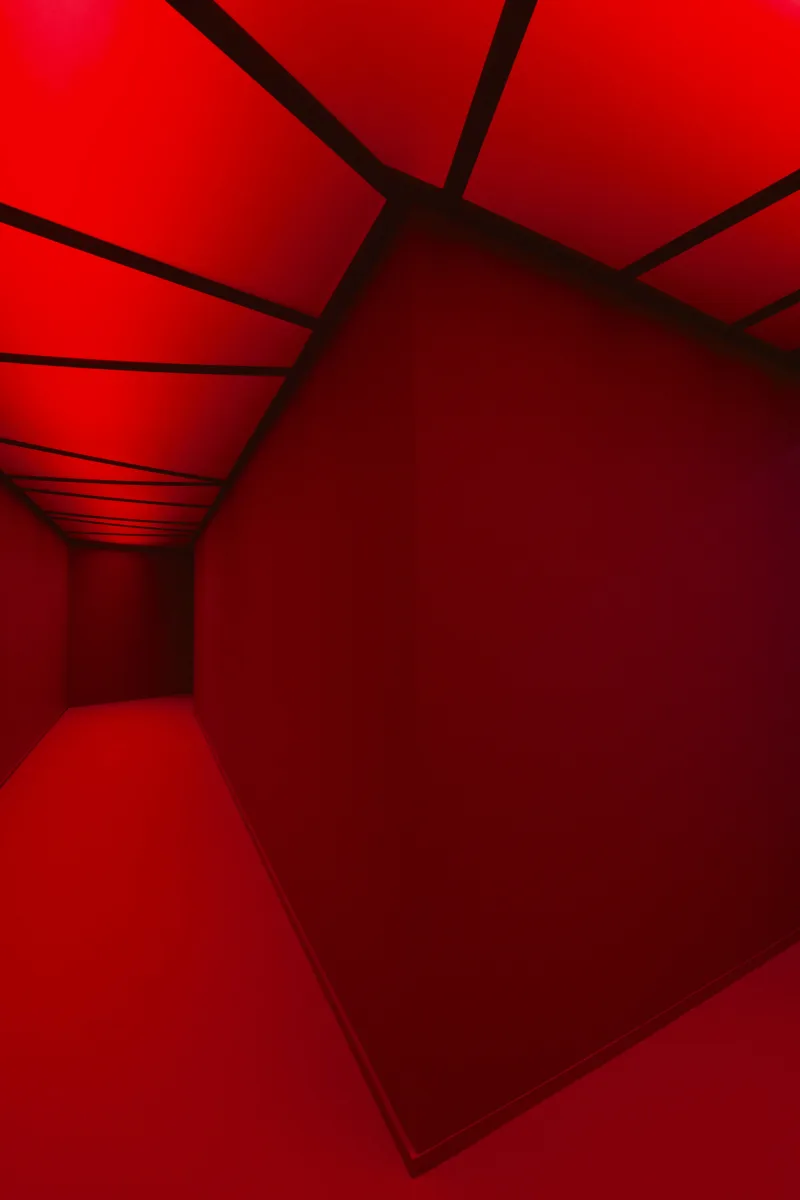 Stagecraft - Une mise en scène du pouvoir, installation view macLYON, 2021, photo: Blaise Adilon
