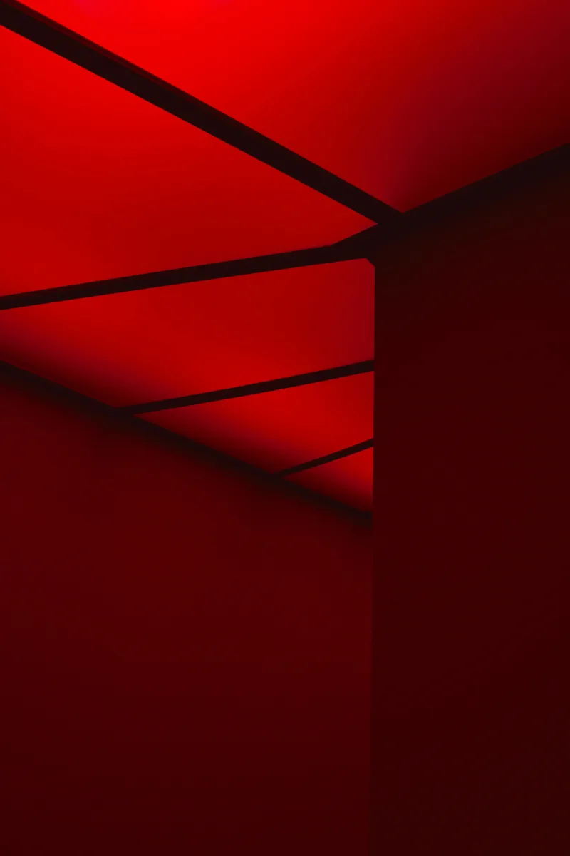 Stagecraft - Une mise en scène du pouvoir, installation view macLYON, 2021, photo: Blaise Adilon