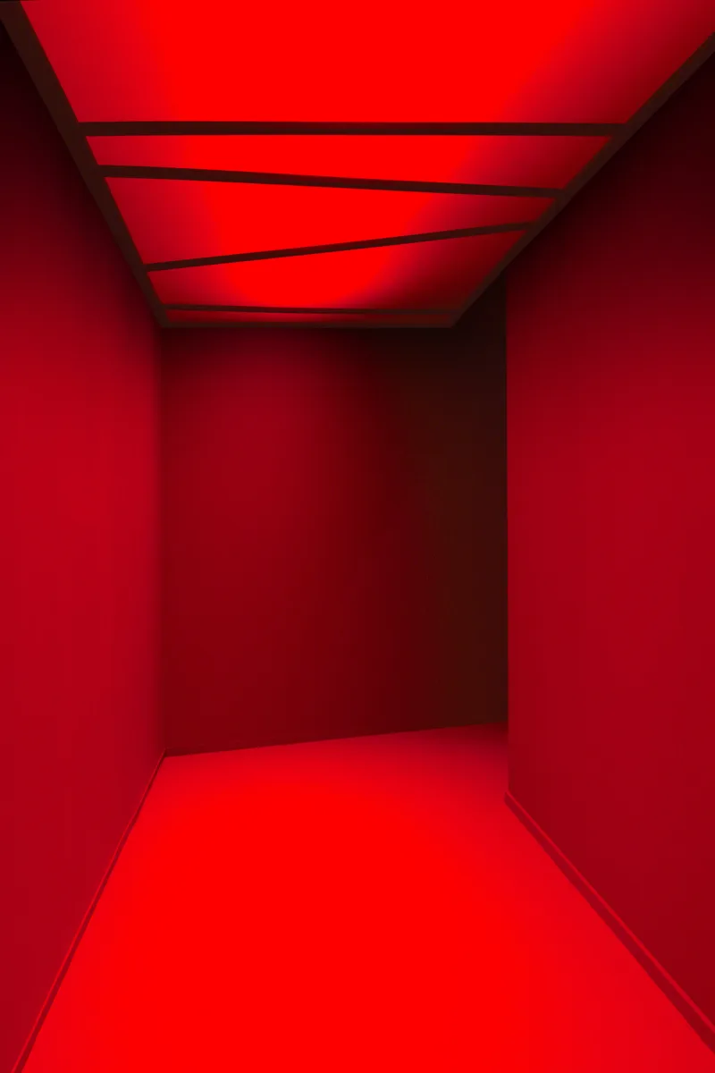 Stagecraft - Une mise en scène du pouvoir, installation view macLYON, 2021, photo: Blaise Adilon