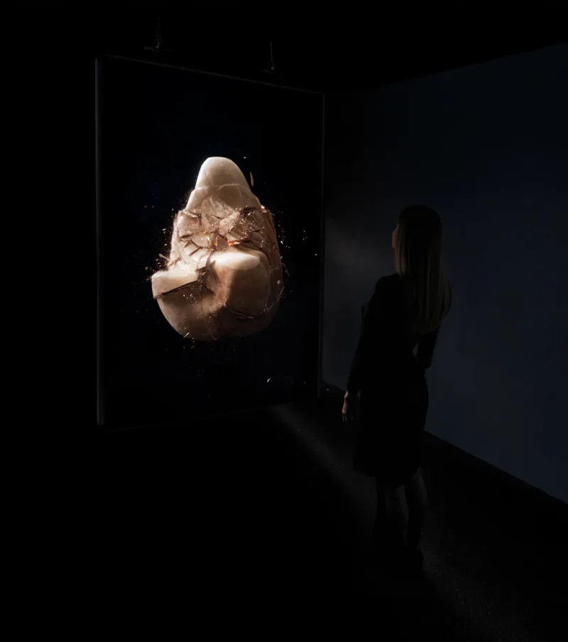 Mothers, exhibition The Gift Ecology, Void Art Centre, Derry, 2025, photo: Jasmina Cibic