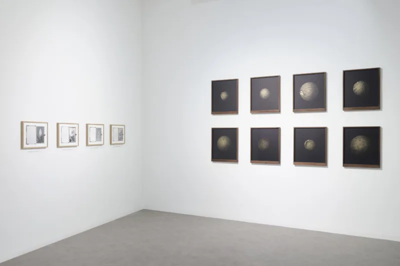 The Gift Ecology, Void Art Centre, Derry, 2025, installation view, photo: Simon Mills