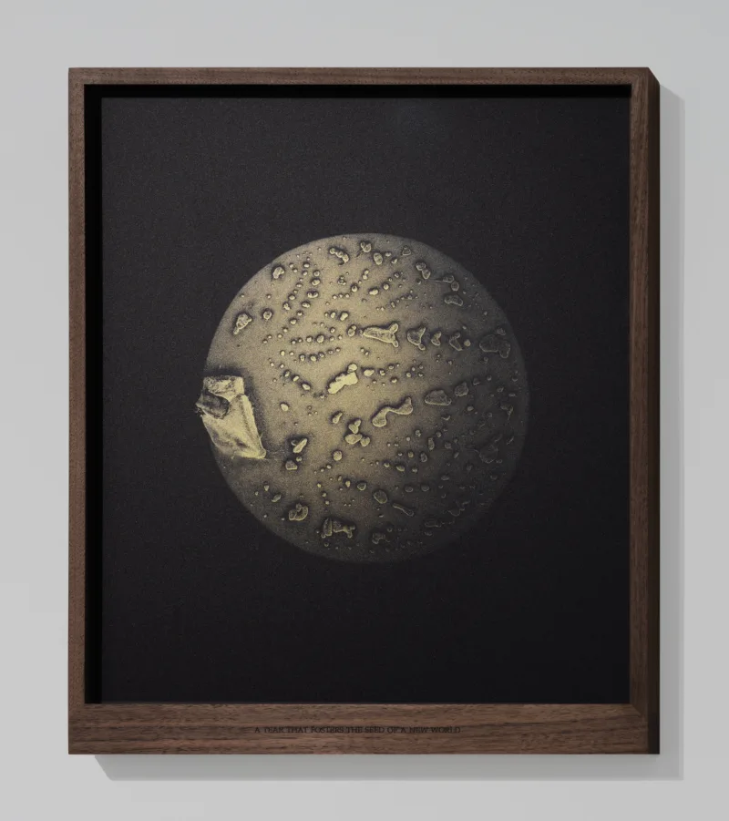 A tear that fosters the seed of a new world, exhibition The Gift Ecology, Void Art Centre, Derry, 2025, photo: Simon Mills