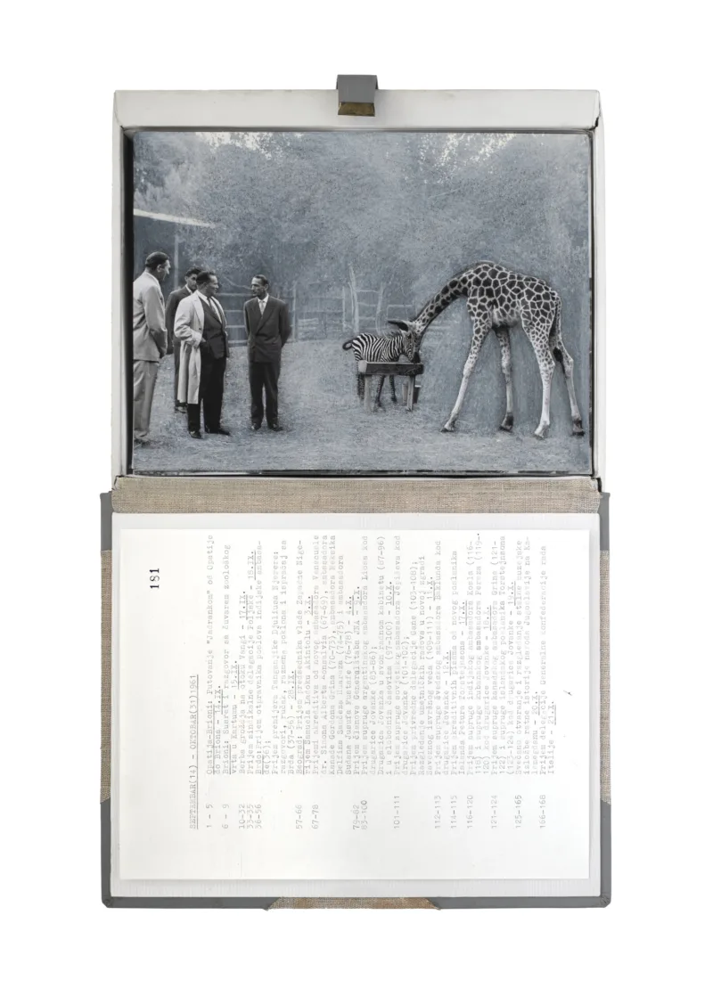 The Gift Ecology (President Tito and the Zookeeper of Khartoum, Brioni Island), exhibition The Gift Ecology, Void Art Centre, Derry, 2025, photo: Simon Mills