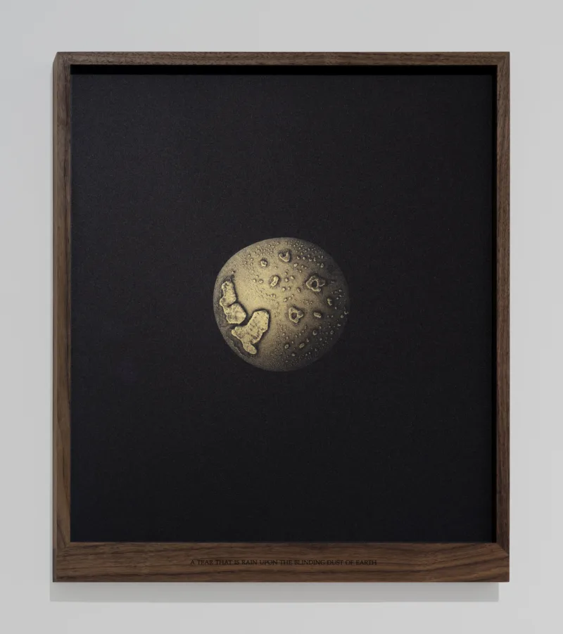 A tear that is rain upon the blinding dust of earth, exhibition The Gift Ecology, Void Art Centre, Derry, 2025, photo: Simon Mills