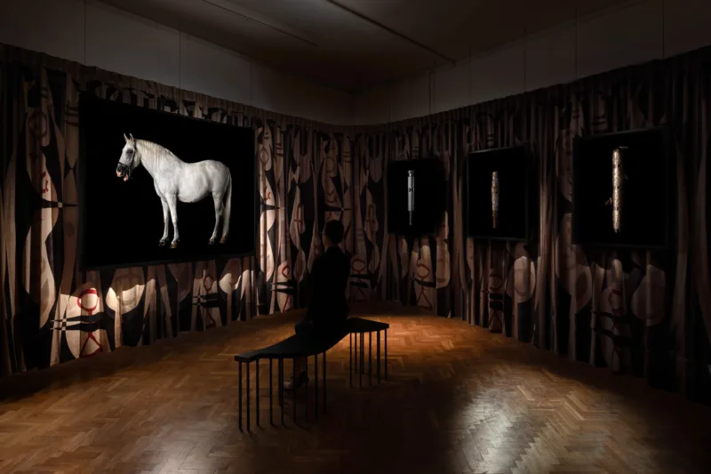 The Palace, installation view Muzeum Sztuki, Łódź, 2021, photo: Anna Zagrodzka