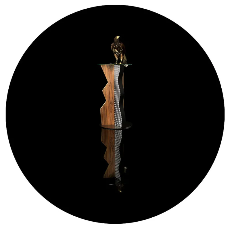 Perch for Parabuteo unicinctus (E. Sottsass)