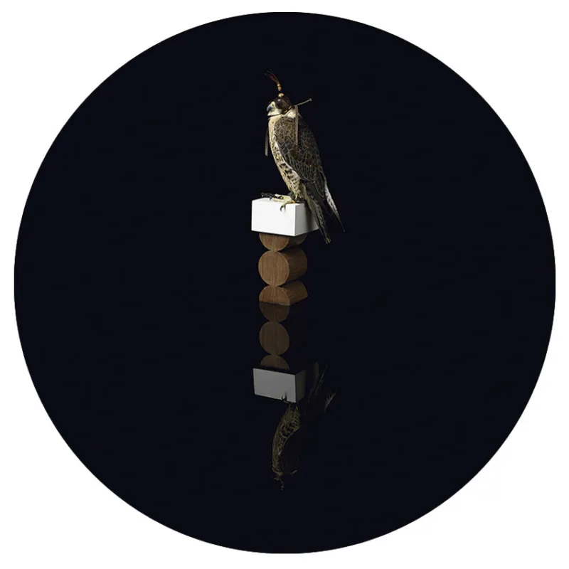 Perch for Falco peregrinus (C. Brancusi)