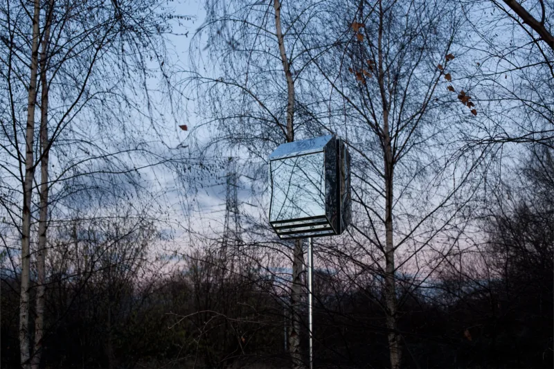 Bat Box II