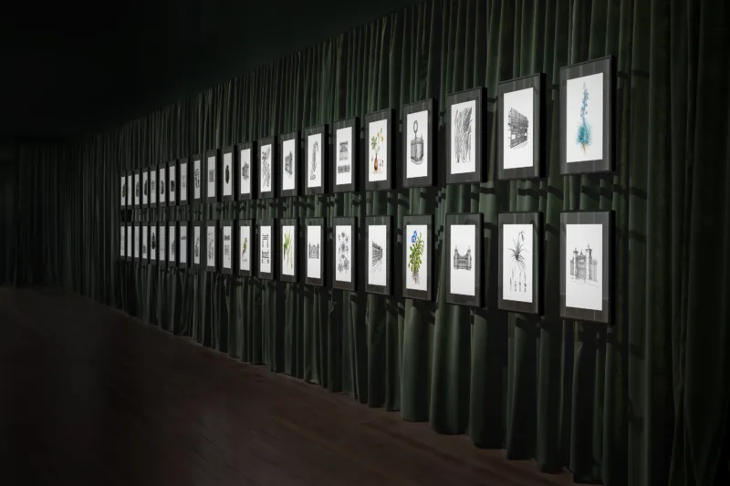Installation view, Charm Offensive (solo), Dunedin Public Art Gallery, 2022, photo: Alex Lovell-Smith