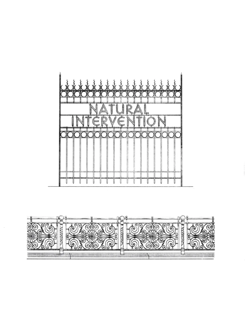 Natural Intervention