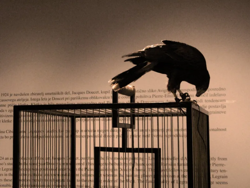 Flock (after Pierre-Émile Legrain)