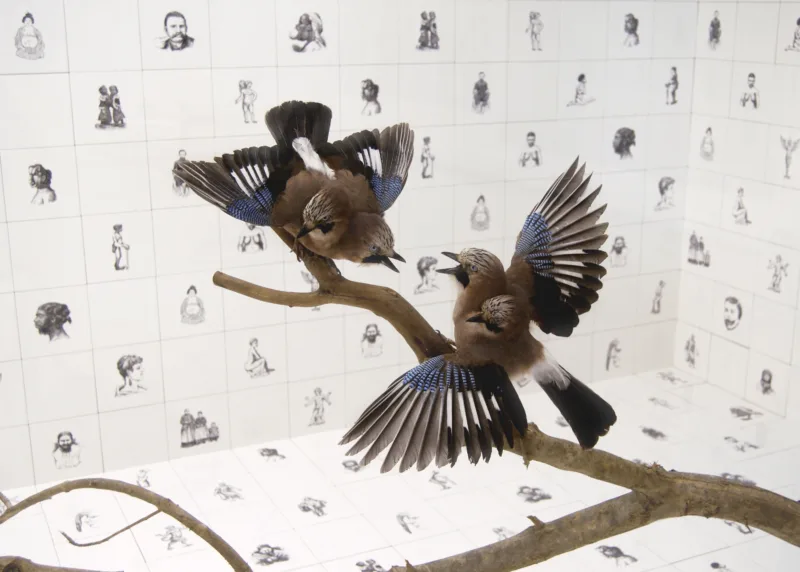 For the Birds