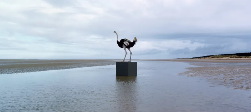 Untitled (Forged Territories I)