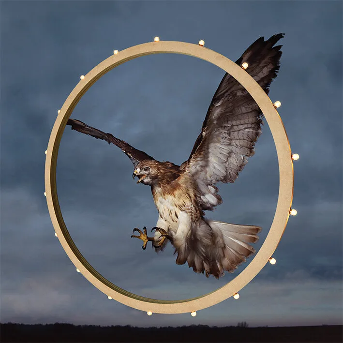 Untitled (Target Practice)