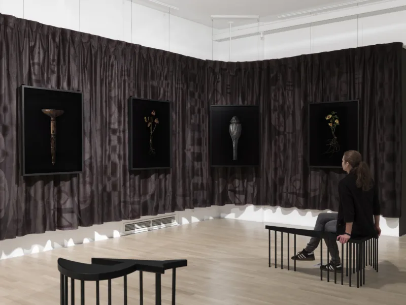 Installation view, exhibition The Foundation of Endeavour (solo), curated by Igor Španjol, Museum of Contemporary Art Metelkova, Ljubljana, 2020, photo: Matevž Paternoster