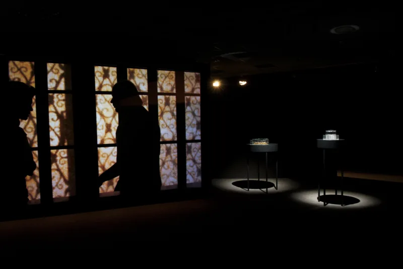 Installation view, exhibition Situation Anophthalmus hitleri (solo), European Capital of Culture, Maribor, 2012