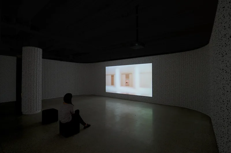 Installation view, exhibition Fruits of Our Land (solo), Saw Art Gallery, Ottawa, 2015, photo D. Barbour