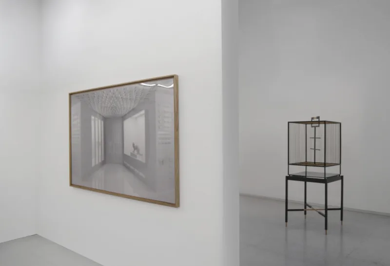Installation view, exhibition Ideologies of Display (solo), Ganes Pratt Gallery, 2008