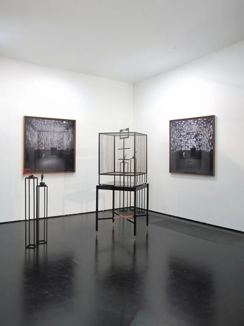 Installation view, Vienna Contemporary, ŠKUC Gallery, solo presentation, 2014
