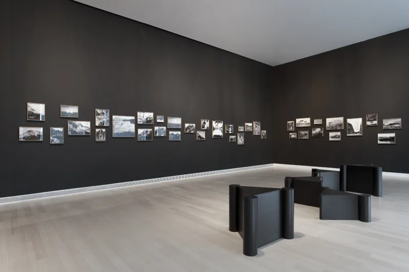 Installation view, exhibtion The Nation Loves It (solo), curated by Róna Kopeczky, Ludwig Museum Budapest, 2015, photo: Tamás Bujnovszky