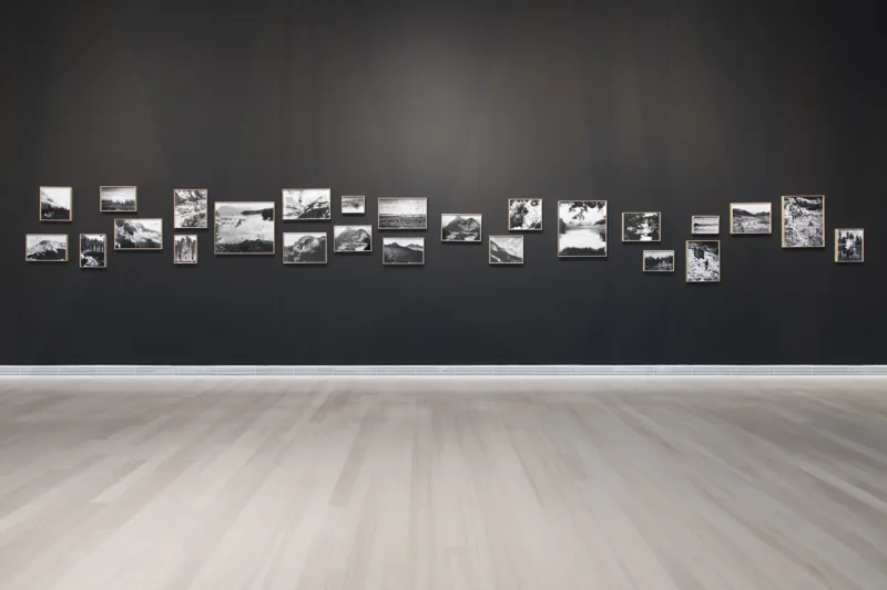 Installation view, exhibtion The Nation Loves It (solo), curated by Róna Kopeczky, Ludwig Museum Budapest, 2015, photo: Tamás Bujnovszky