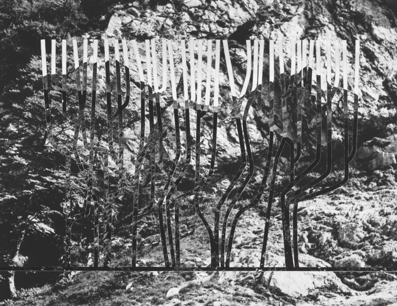 Apply the timeless lessons of the past and a love of natural forms
