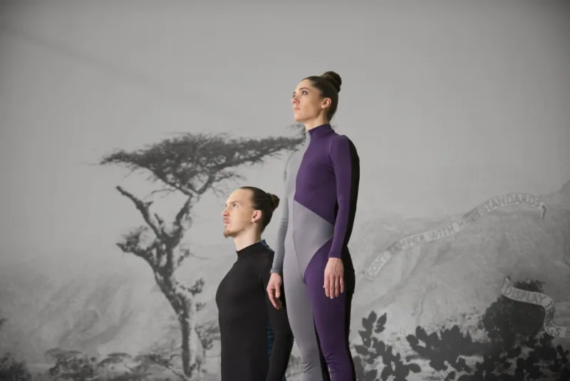 The Nation Loves It, Cibic, 2015, Ludwig Museum