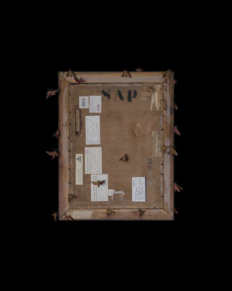 Revolutionary Artists (Maria Nicz-Borowiak: Still Life (1928), inv. no.: MS/SN/M/38)