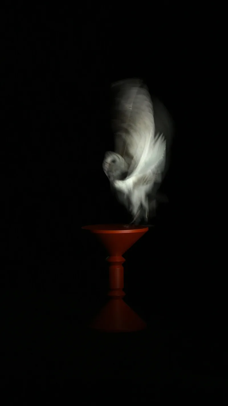 WORK 2 - Rotations, still