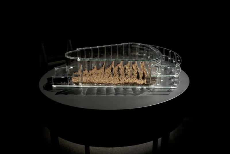 A Pavillion for Anophthalmus hitleri II