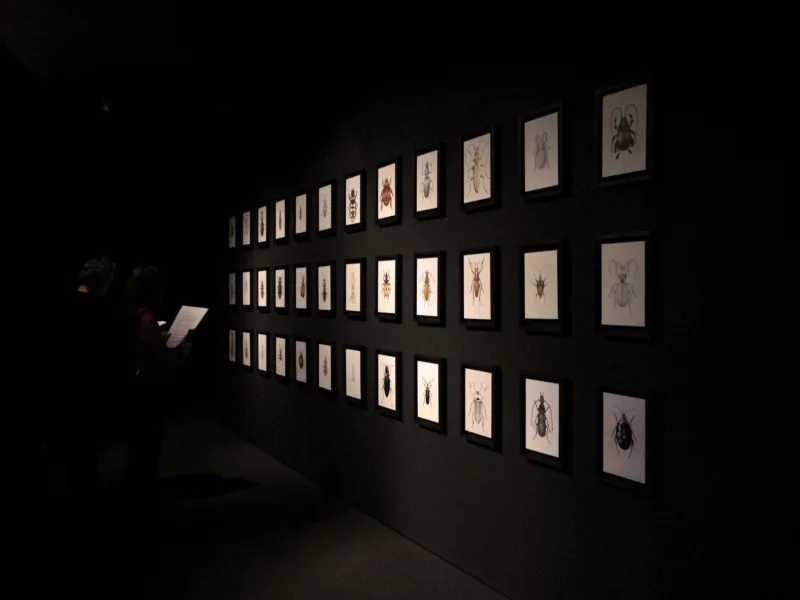 Installation view: exhibition Situation Anophthalmus hitleri (solo), Maribor European Capital of Culture, 2012
