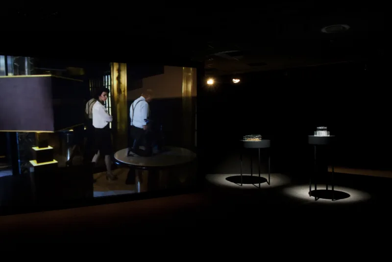 Installation view: exhibition Situation Anophthalmus hitleri (solo), Maribor European Capital of Culture, 2012