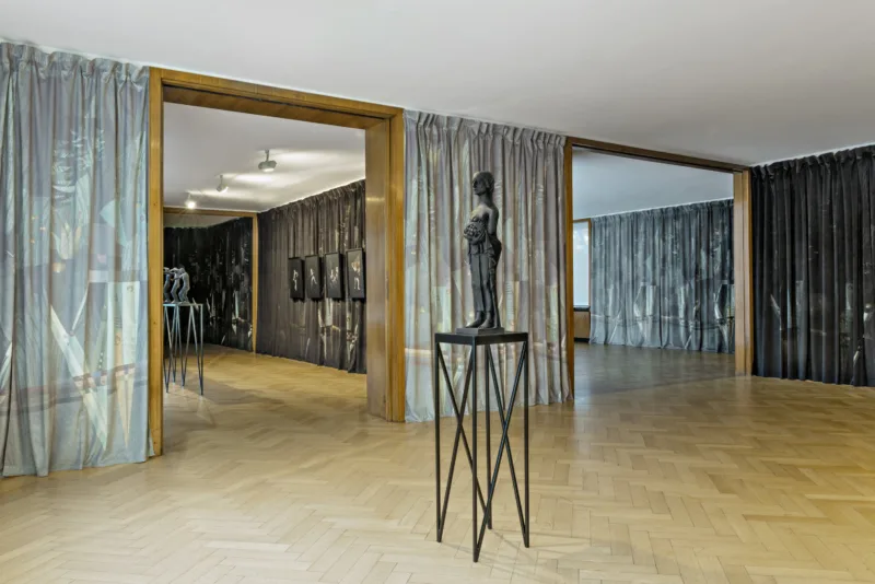 Installation view: exhibition The Spirit of Our Needs (solo), curated by Katia Baudin, House Esters, Kunstmuseen Krefeld, 2017 photo: Johannes Post