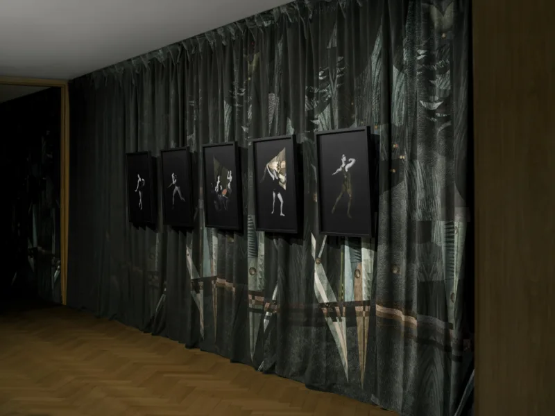 Installation view: exhibition The Spirit of Our Needs (solo), curated by Katia Baudin, House Esters, Kunstmuseen Krefeld, 2017 photo: Johannes Post