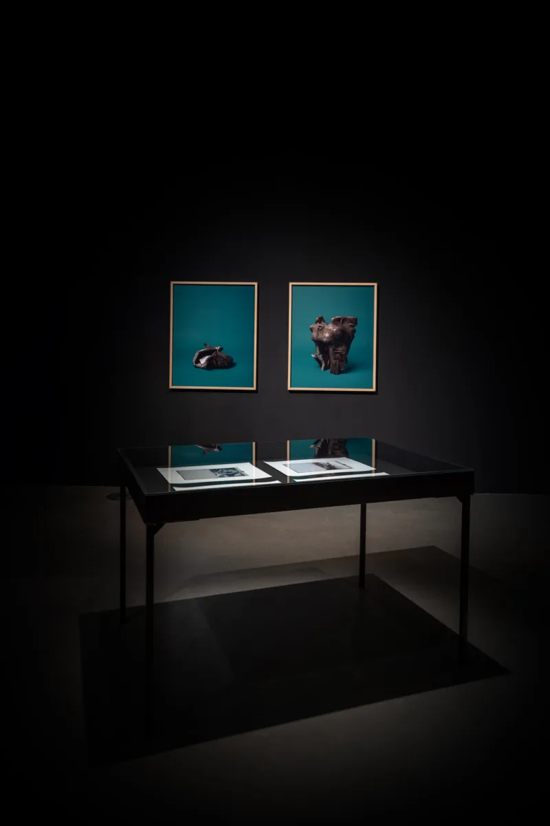Installation view, Dream the Dreams we call our own (solo), MSU - Museum of Contemporary Art Zagreb, 2023, photo: Damir Žižić