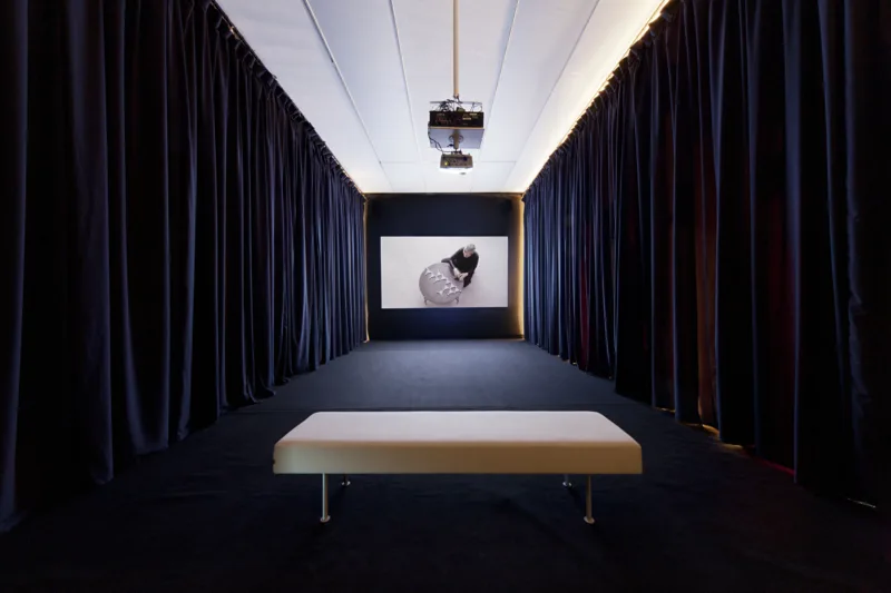 Installation view, exhibition The Nation Loves It (solo), curated by Rona Kopezky, Ludwig Museum Budapest, 2015, photo: Tamás Bujnovszky