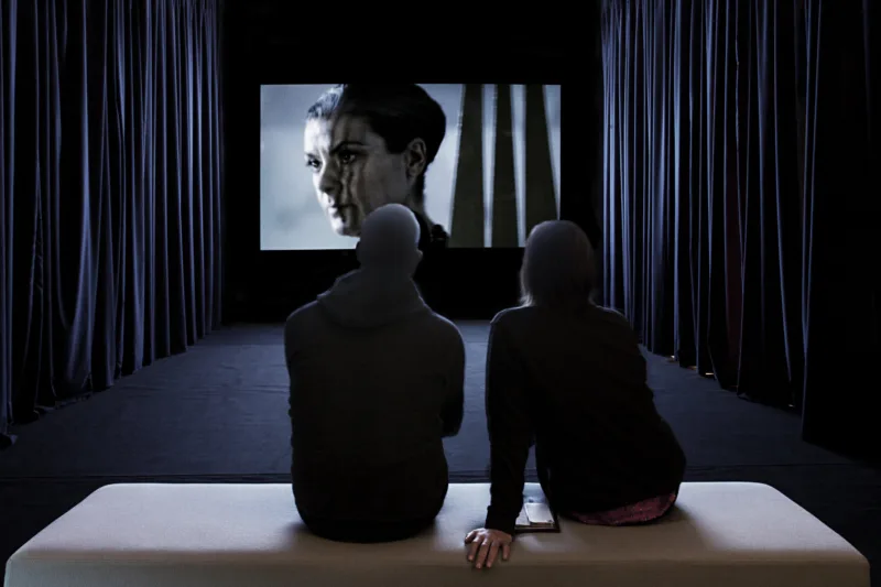 Installation view, exhibition The Nation Loves It (solo), curated by Rona Kopezky, Ludwig Museum Budapest, 2015, photo: Tamás Bujnovszky