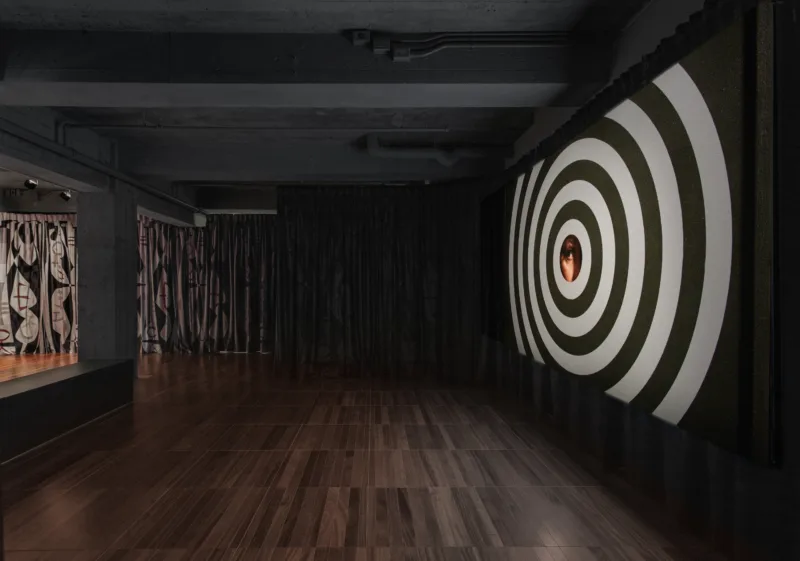 Installation view, exhibition Everything that you desire and nothing that you fear (solo), curated by Cheryl Sim, Phi Foundation, 2018, photo: Max Tramblay