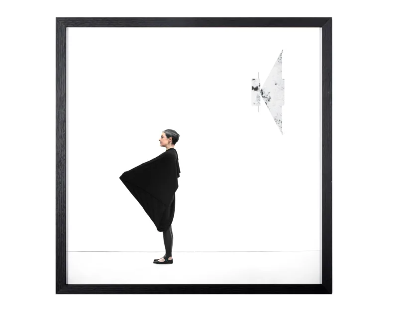 Architect’s Silhouette V