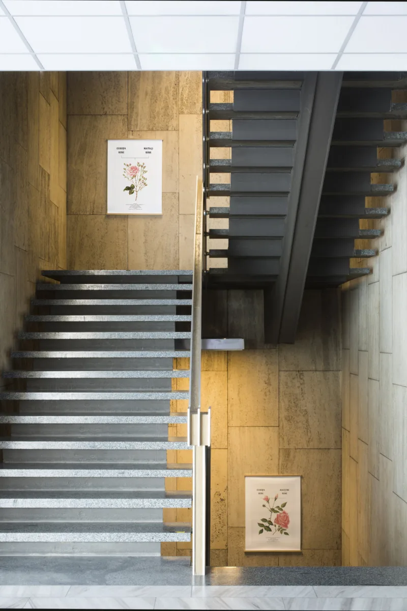 Cibic, print6