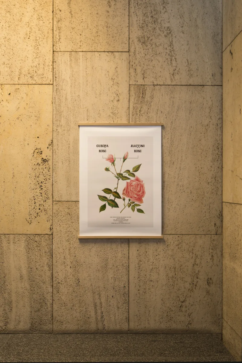 Cibic, print5