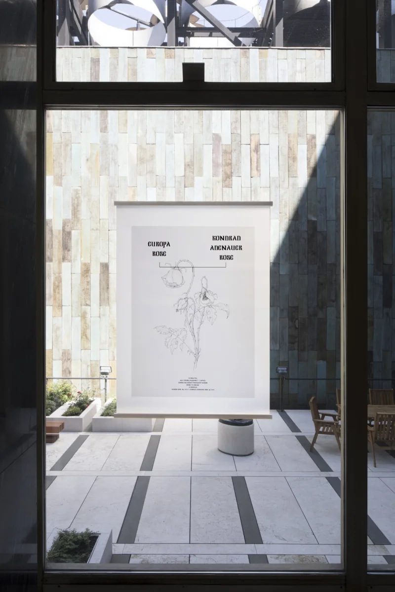 Cibic, print3