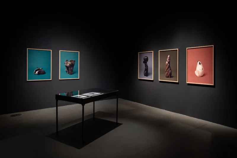 Installation view, exhibition The Dreams We Call Our Own (solo), Museum of Contemporary Art Zagreb 2023, photo: Damir Žižić