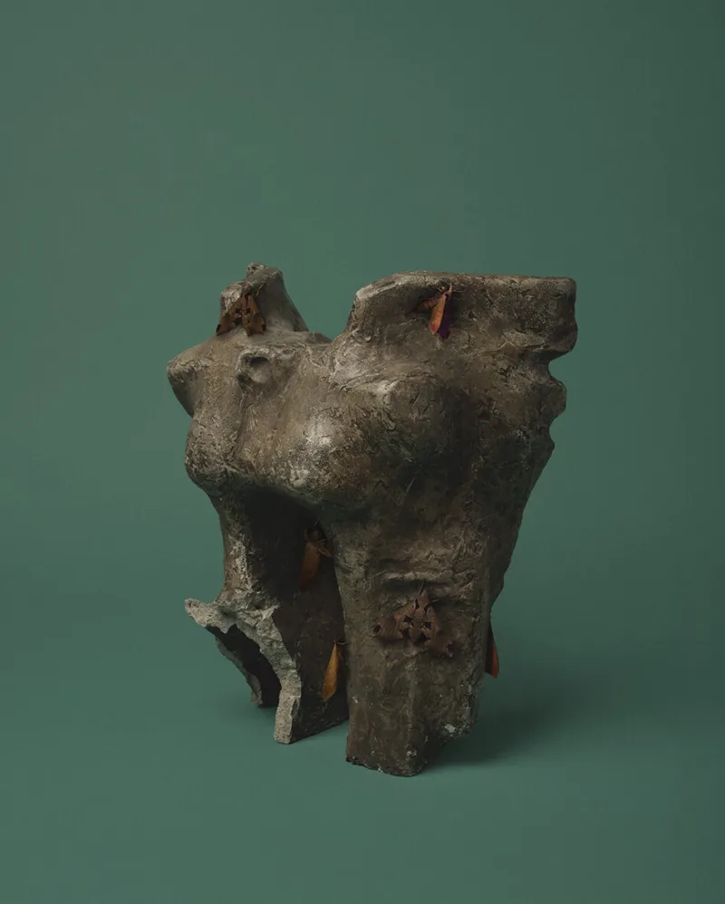 The Gallery of the Non-Aligned (Tarek Zabady, title unknown, a gift from the government of Egypt I)