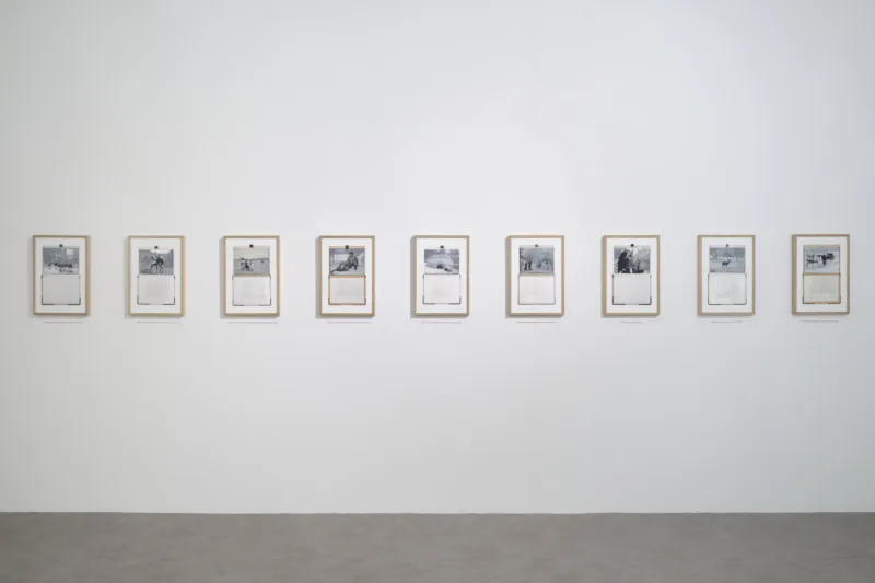 Installation view, exhibition The Gift Ecology (solo), Void Art Center, Derry, 2025, photo: Simon Mills