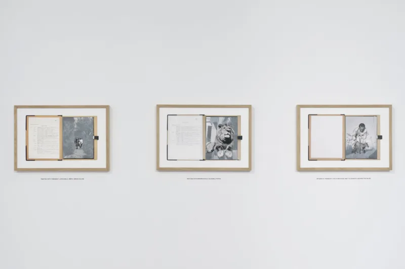 the gift ecology, install