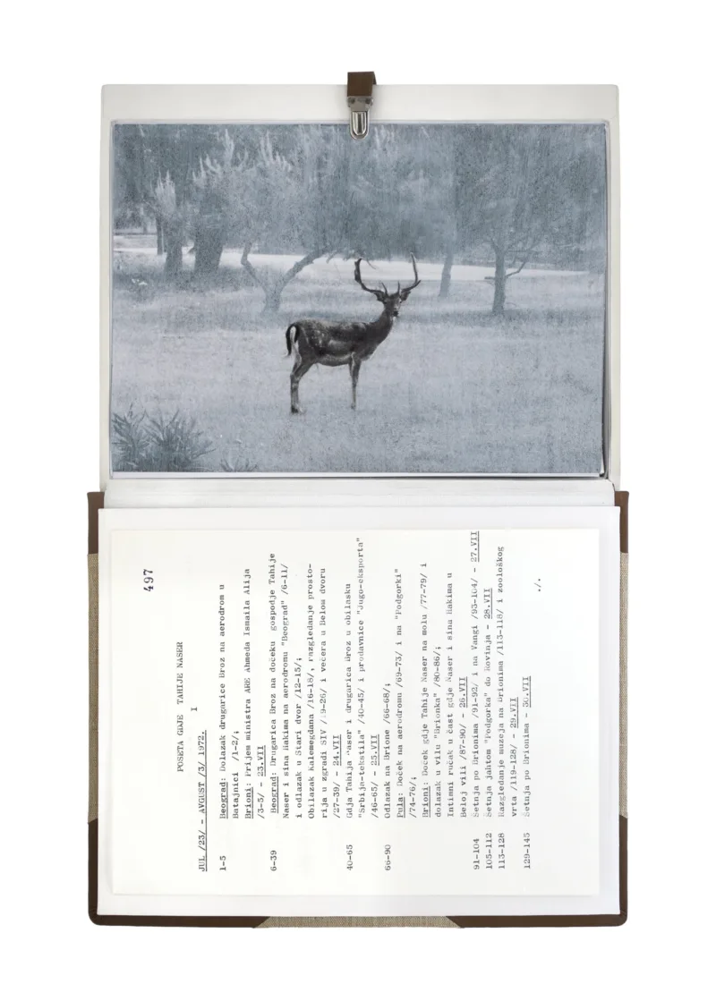 The Gift Ecology (Meeting of First Ladies Tahia Abdel Nasser and Jovanka Broz, Brioni Island)