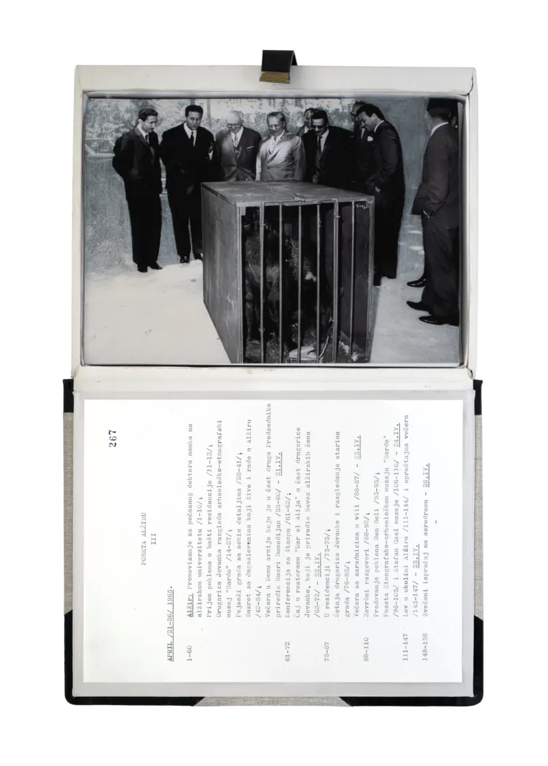 The Gift Ecology (A Diplomatic Gift Presented to Ahmed Ben Bella, First President of Algeria)